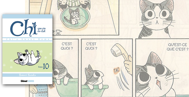 Chi une vie de chat