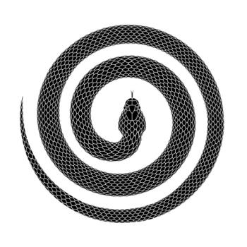 Vasuki