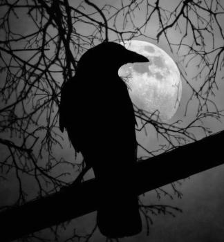 Karasu