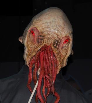Pochita
