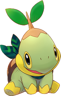 Tortipouss4ever