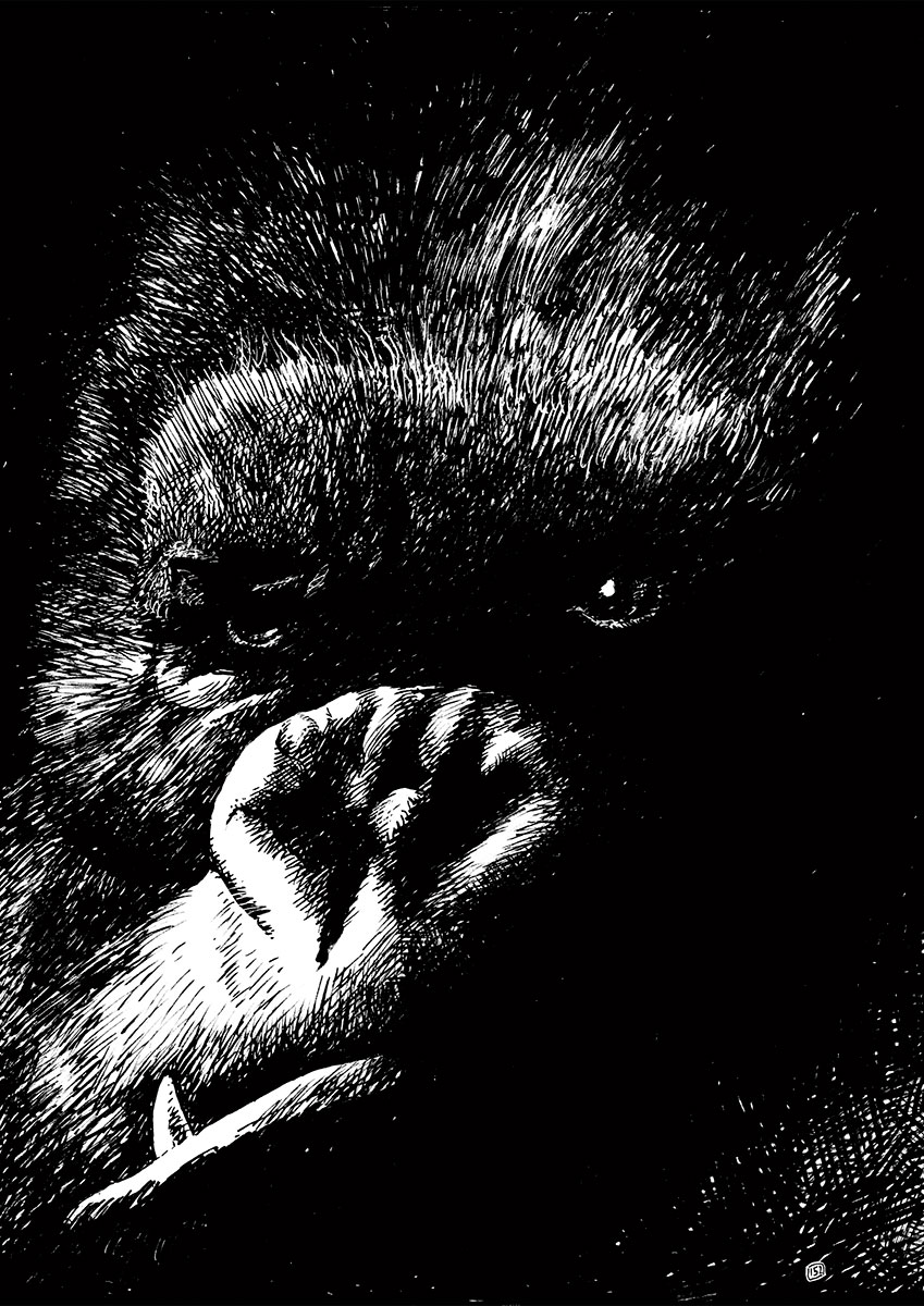 9782344066393 9782344066522 King Kong + ex-libris offert