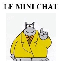Le Mini Chat