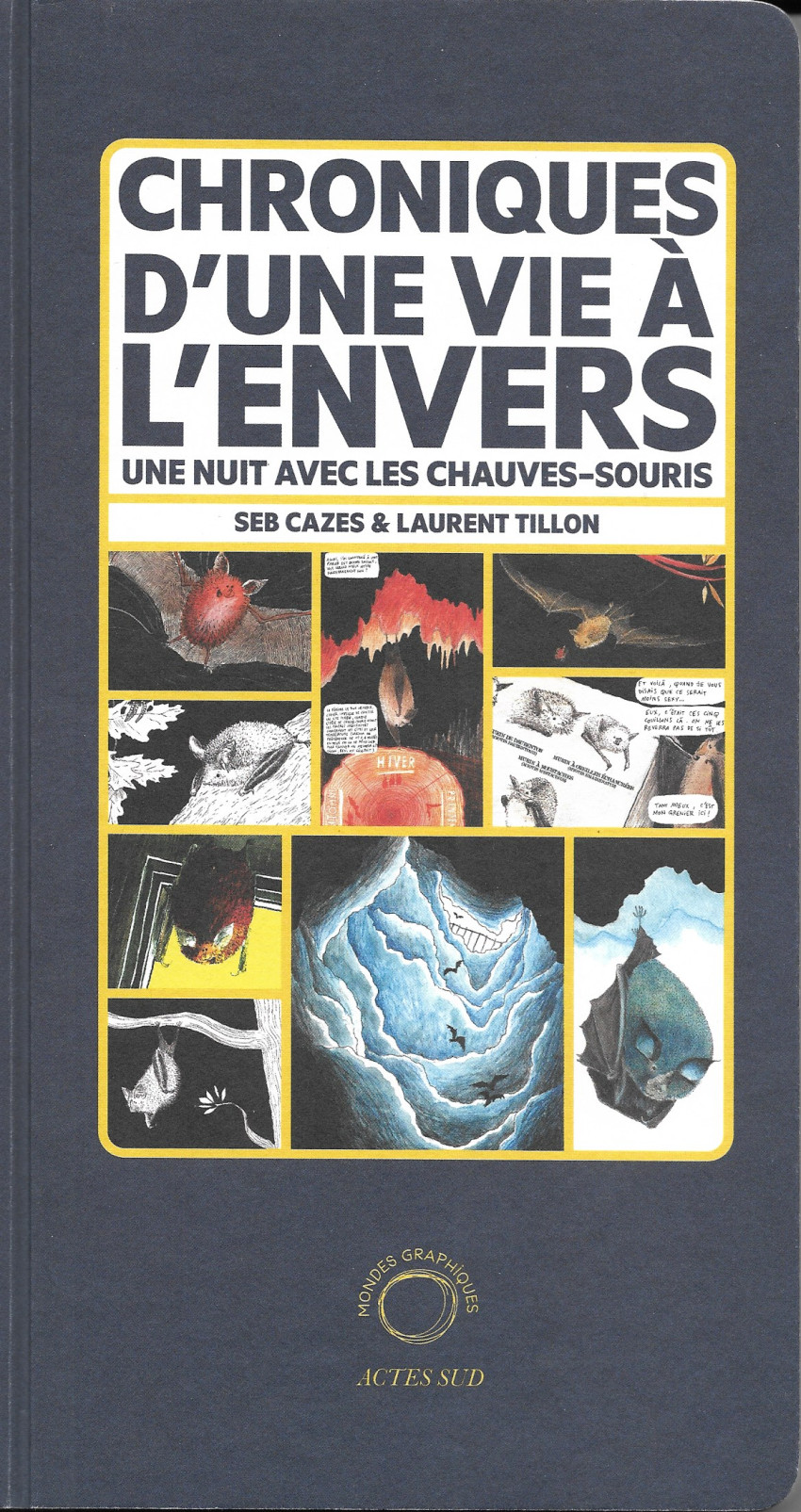 Chroniques d'une vie à l'envers - Une nuit avec les chauves-souris