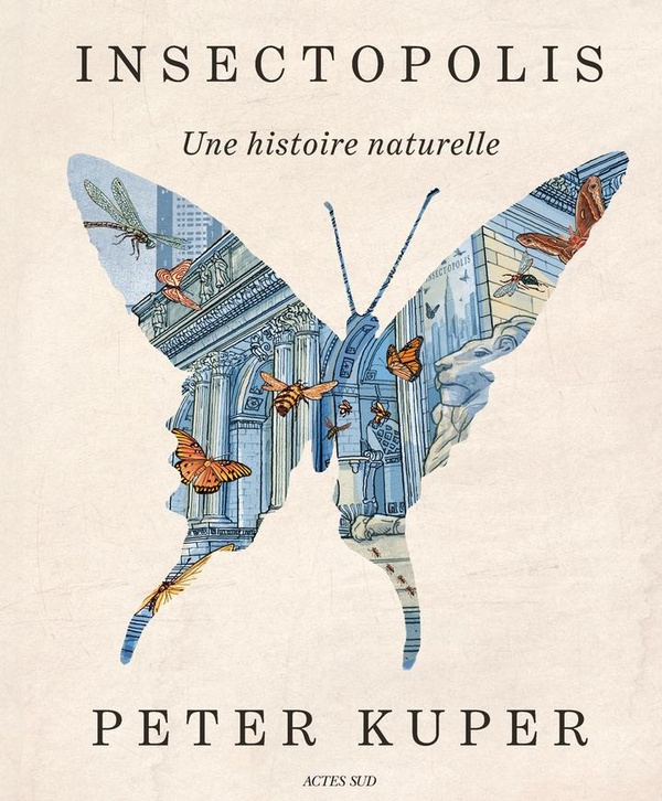 Insectopolis - Une histoire naturelle
