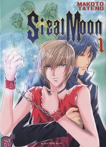 Couverture Steal moon