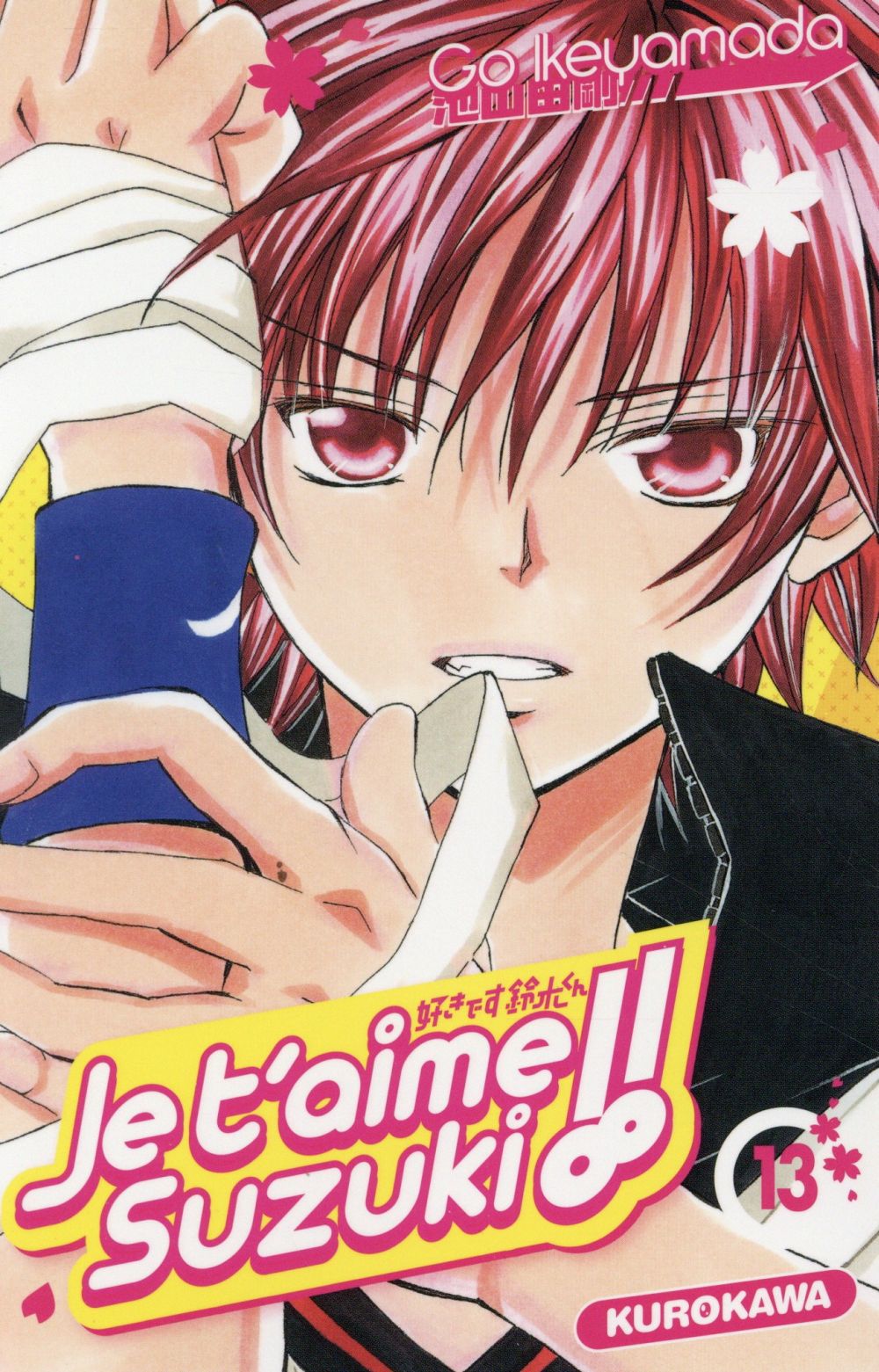 Tome 13