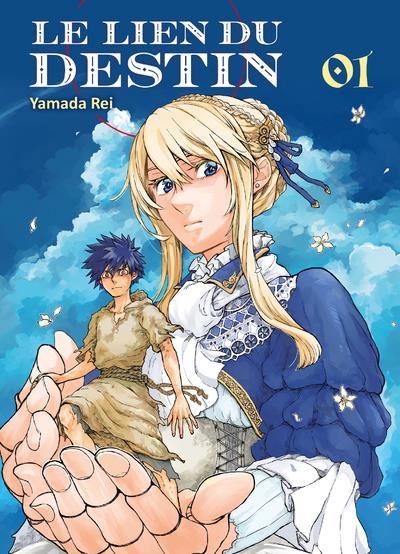 Couverture Le lien du destin