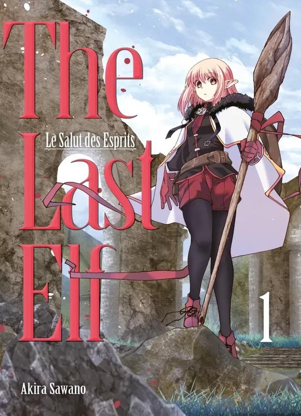 Couverture de The Last Elf