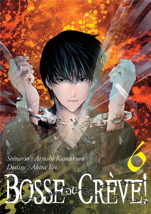 Tome 6