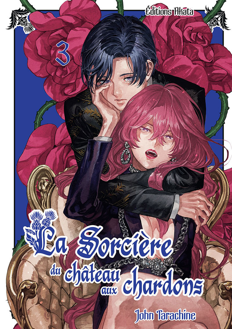 La sorcière du château aux chardons tome 3