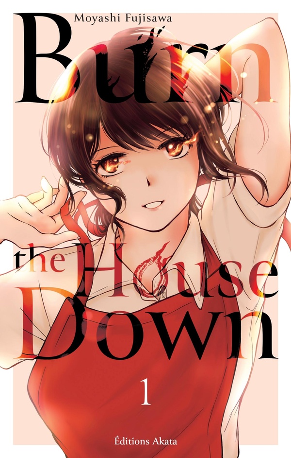 Couverture Burn the house down