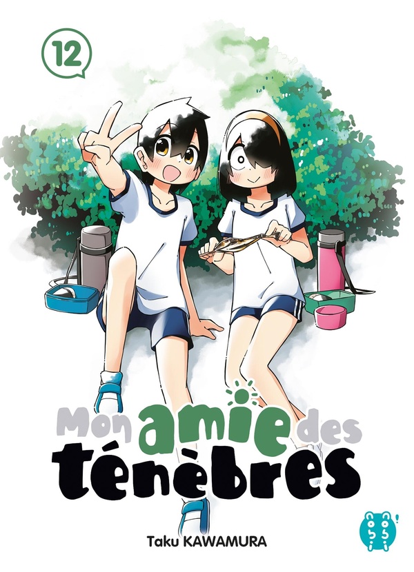 Tome 12