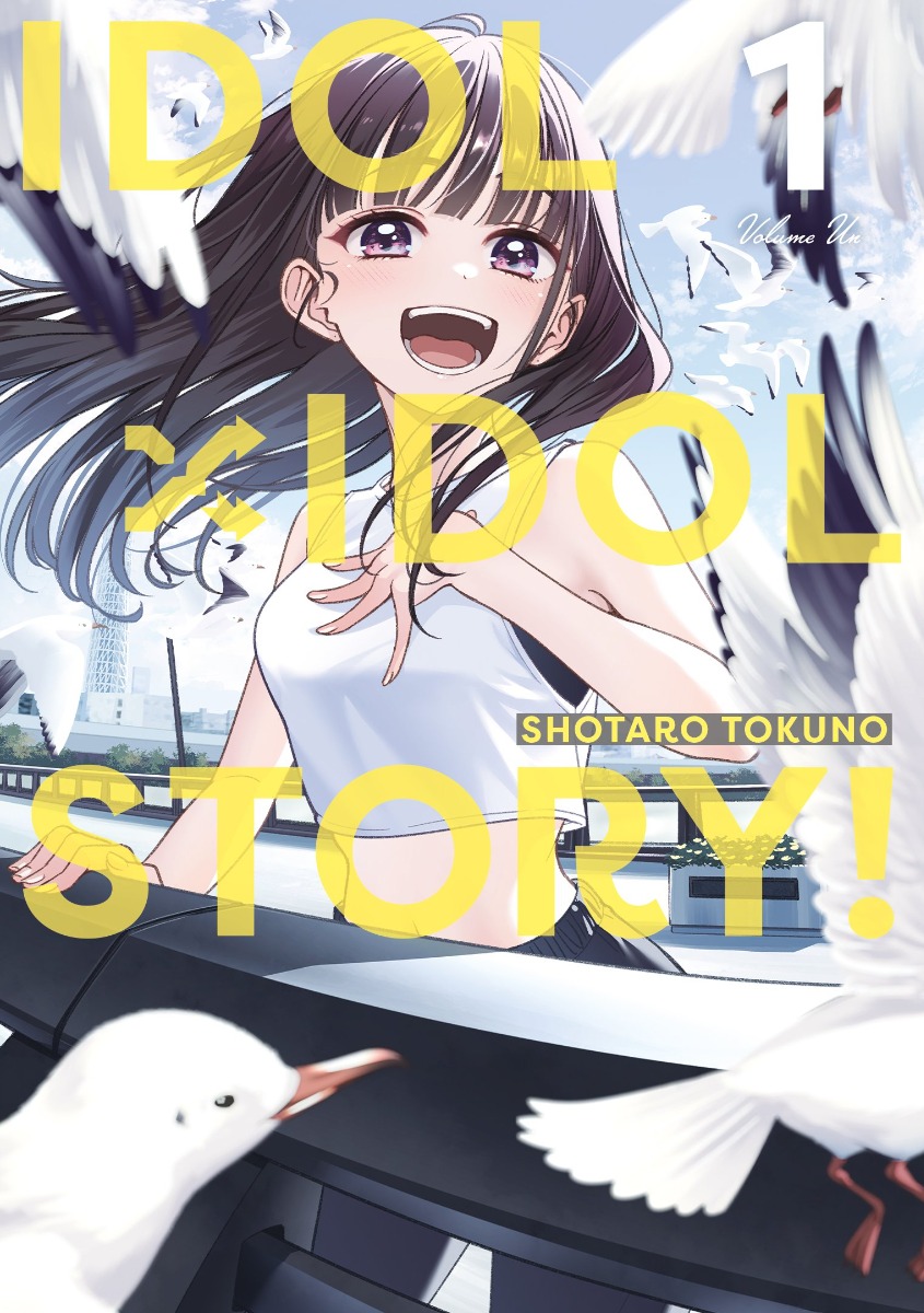 Couverture Idol X Idol Story