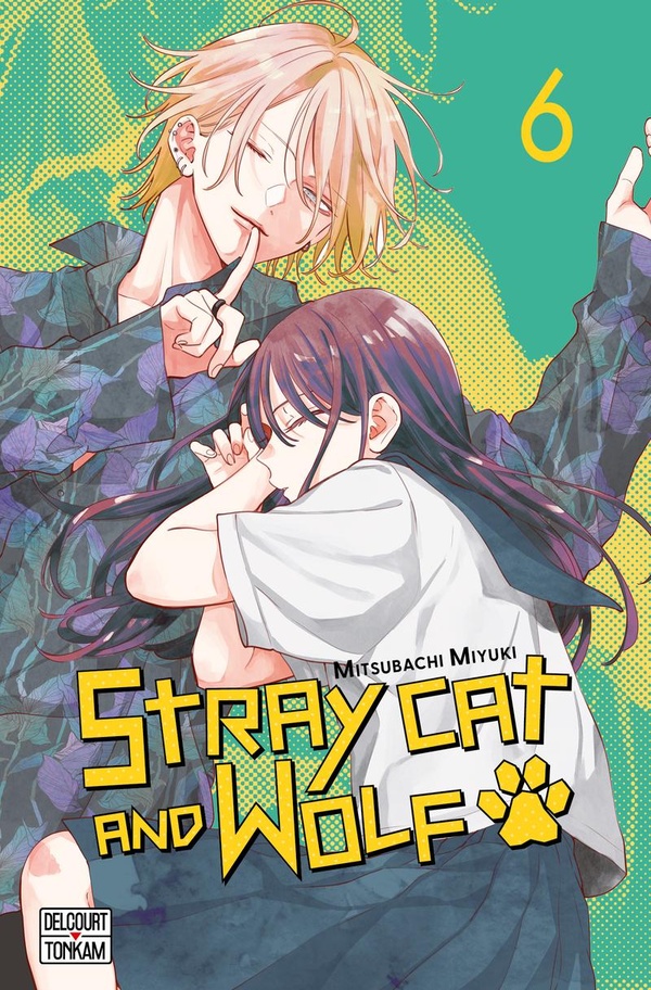 Tome 6