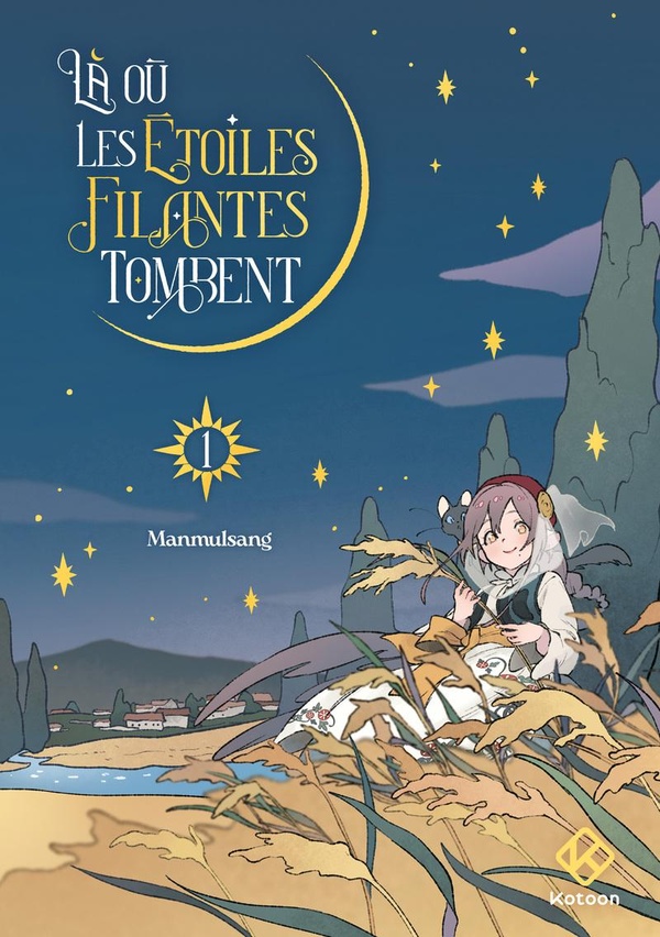 Là où les étoiles filantes tombent tome 1