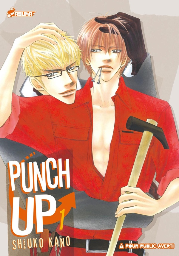 Couverture Punch up