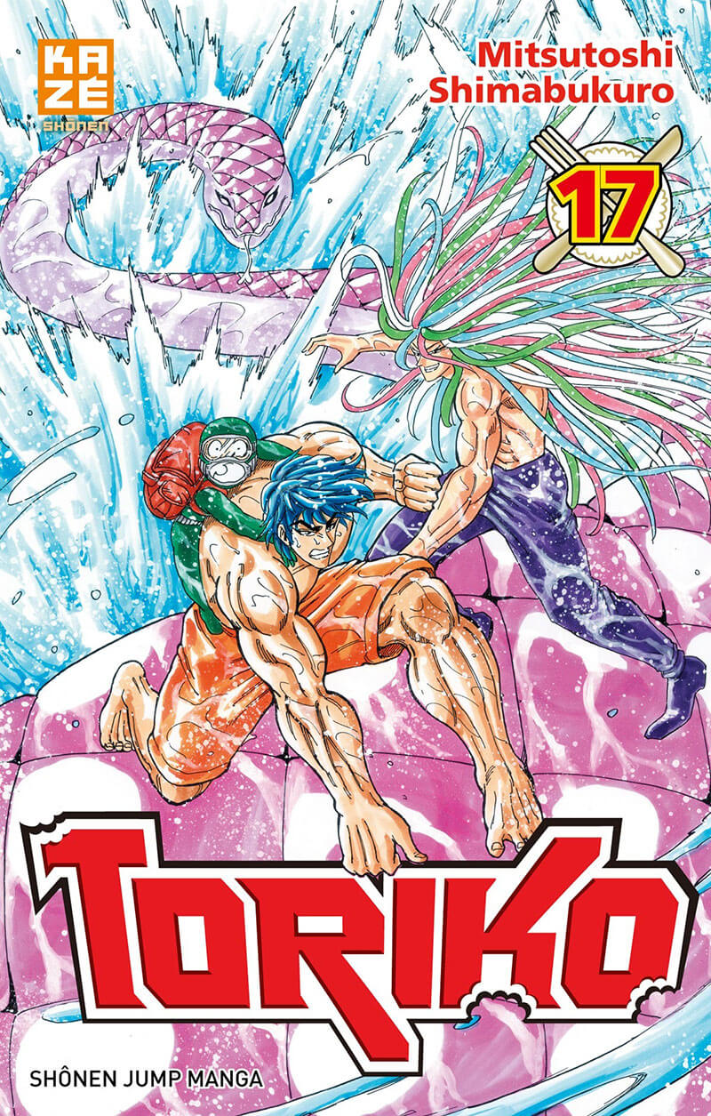 Tome 17
