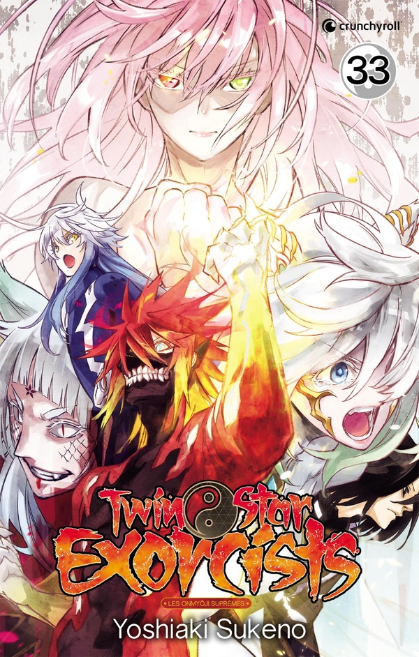 Twin star exorcists tome 33