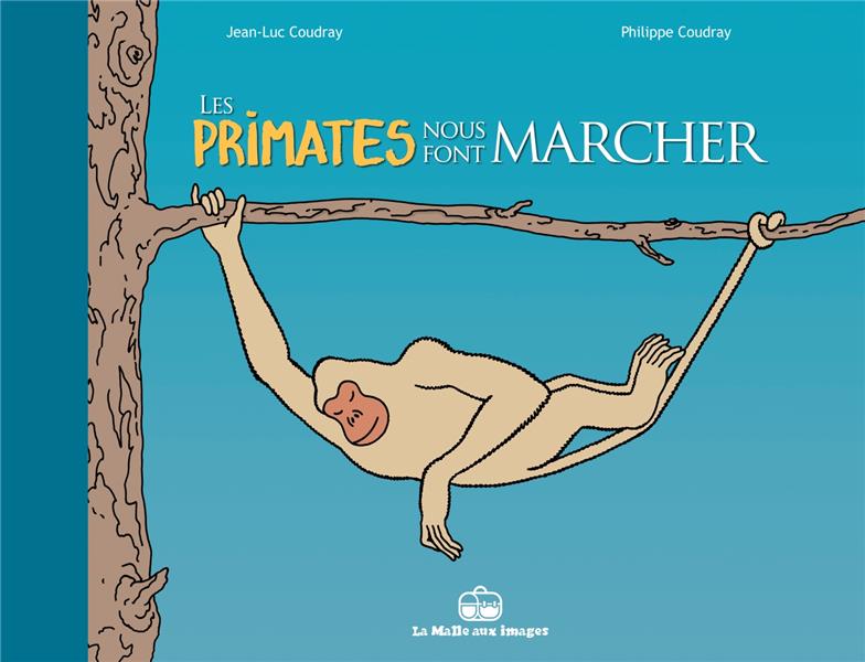 les primates nous font marcher