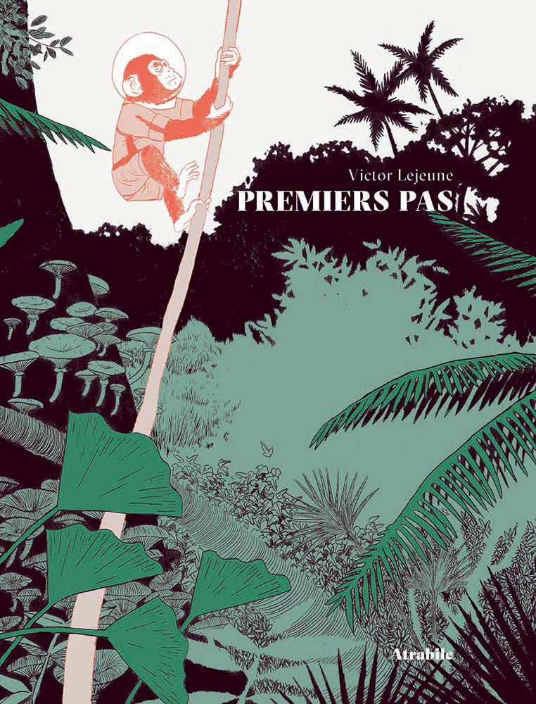 premiers pas