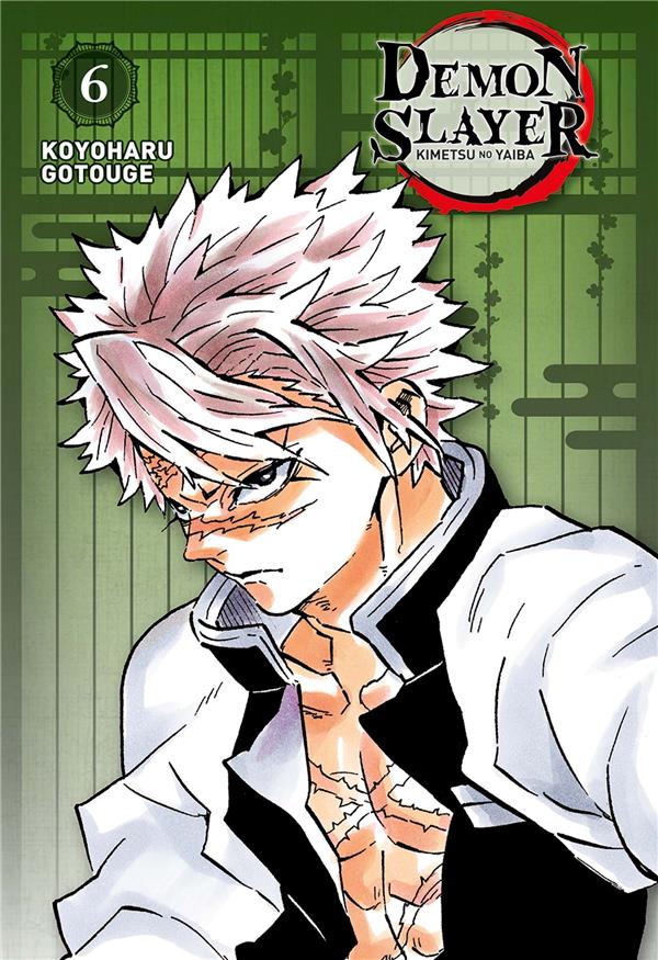 Demon Slayer - édition pilier tome 6