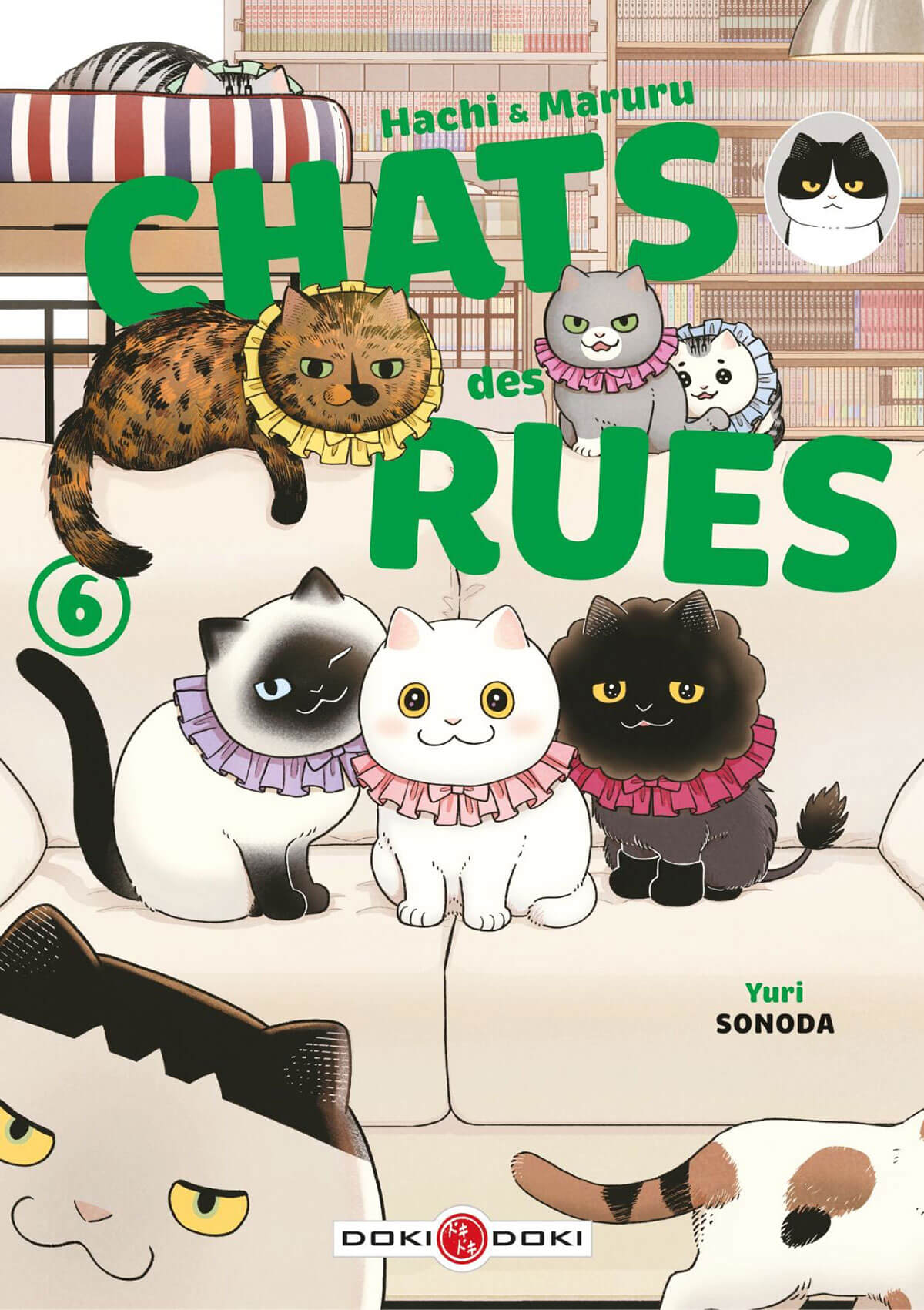 Hachi & Maruru - Chats des rues tome 6