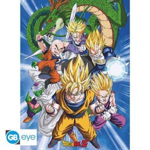 Poster Dragon Ball Z / Cell Saga