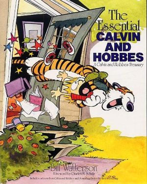 Calvin and Hobbes - the essential
