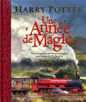 Harry Potter - Une année de magie