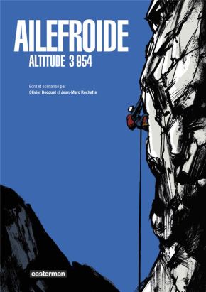 Ailefroide altitude 3 954 (op roman graphique)