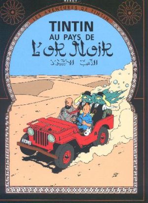 tintin or noir