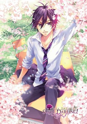 Super Darling ! tome 2