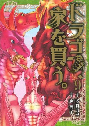 Jeune dragon recherche appartement ou donjon tome 9
