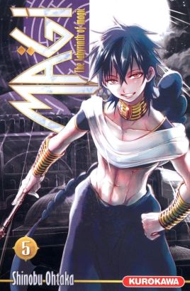 magi tome 5 - the labyrinth of magic