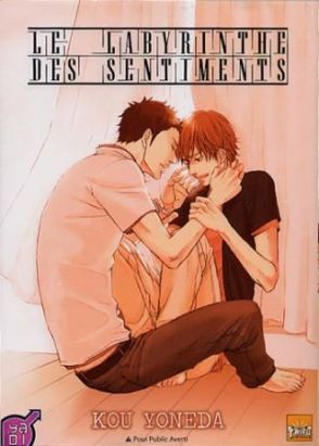le labyrinthe des sentiments