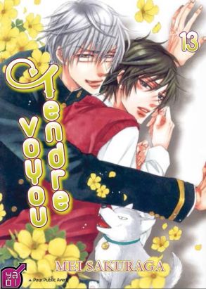 Tendre voyou tome 13