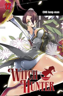 witch hunter tome 12