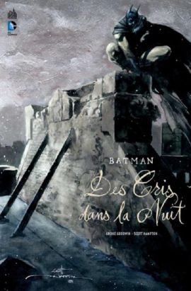 Batman des cris dans la nuit