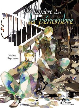 la lumière dans la pénombre