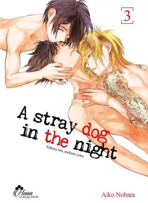 Stray dog in the night tome 3
