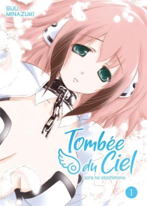 Tombée du ciel tome 1