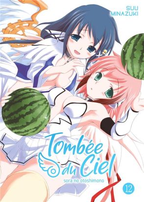 Tombée du ciel tome 12