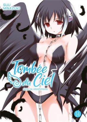 Tombée du ciel tome 14