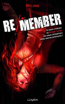 Re/member - roman