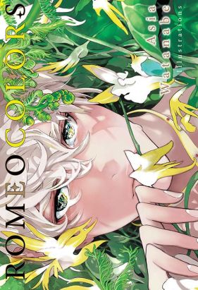 Romeo colors artbook