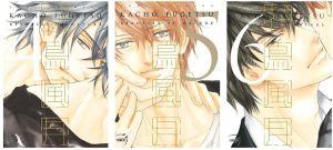 Kachô fûgetsu - beauties of nature - pack tomes 4 à 6