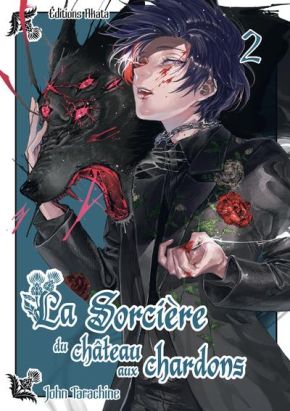 La sorcière du château aux chardons tome 2