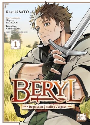 Beryl - De paysan à maître d'armes tome 1
