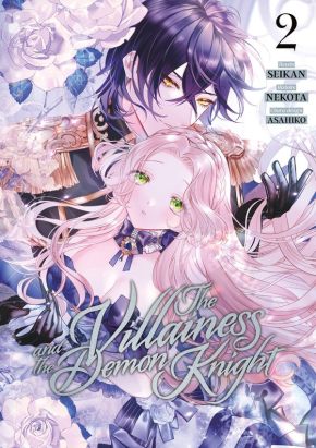 The villainess and the demon knight tome 2